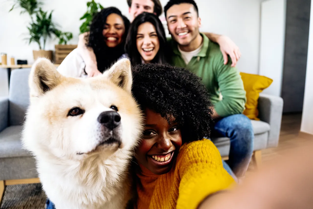 Come trovare offerte last minute per vacanze pet-friendly: guida 2025 Come trovare offerte last minute per vacanze pet-friendly: guida 2025