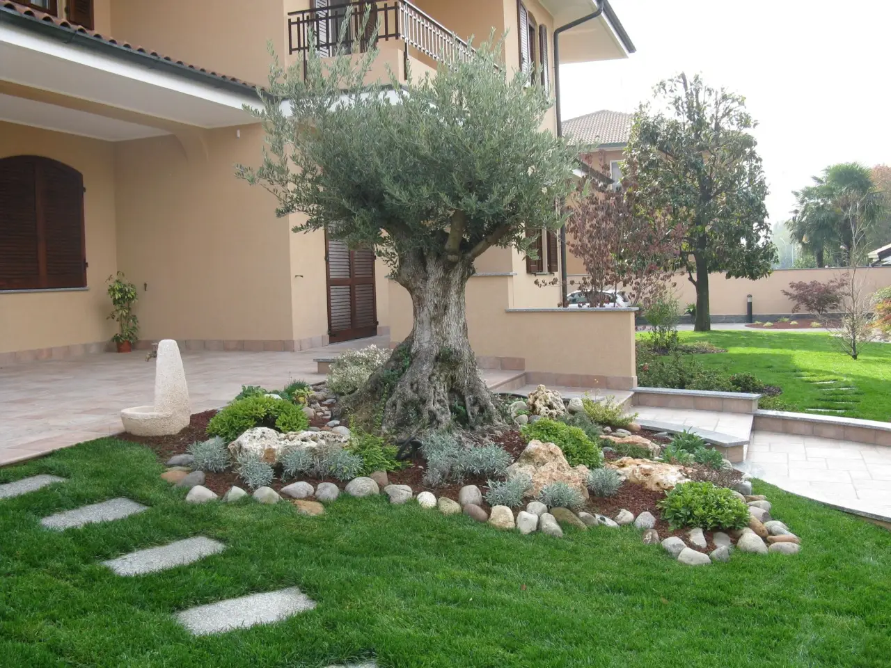 La pianta magica che cresce senza sostegni e regala un giardino spettacolare fino all’autunno La pianta magica che cresce senza sostegni e regala un giardino spettacolare fino all’autunno