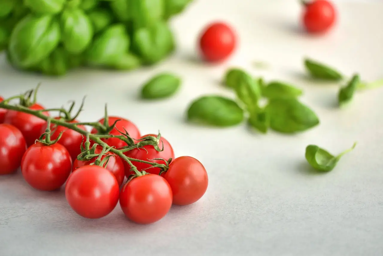 Tre errori che rallentano la crescita dei pomodori Tre errori che rallentano la crescita dei pomodori